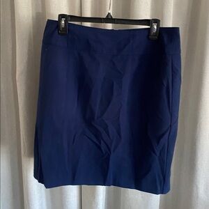 Navy Worthington dress skirt